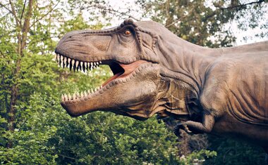 Imagem de destaque para Parque dos Dinossauros: conheça o eio que promete diversão para toda a família