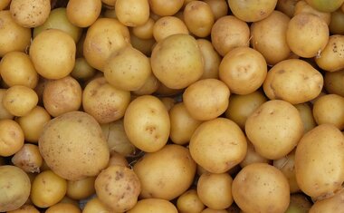 Nem na geladeira, nem na fruteira: este é o melhor lugar para guardar as batatas