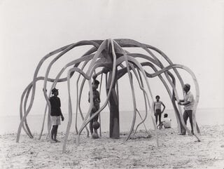 Exposição: 'Frans Krajcberg: reencontrar a árvore' no MASP