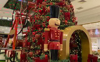  Shopping Santa Cruz