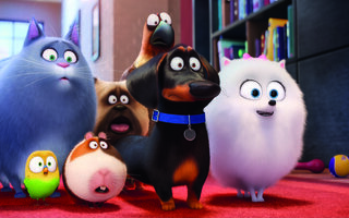 Pets - A Vida Secreta dos Bichos 2 | Infantil