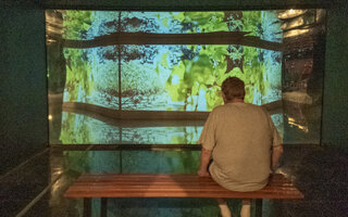 Gaia – O Enigma Humano | Centro Cultural Olido