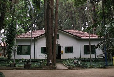 Imagem de destaque para Herbário Municipal de São Paulo