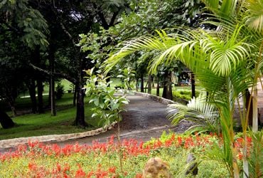 Imagem de destaque para Parque Raposo Tavares